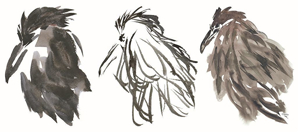 RAE'VNETTES