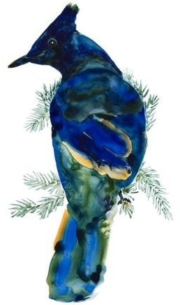 FEATHER – V Rae Art